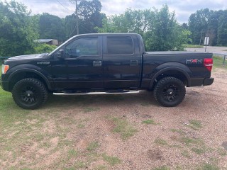 Image for 2010 Ford F-150 Supercrew ID: 7365063