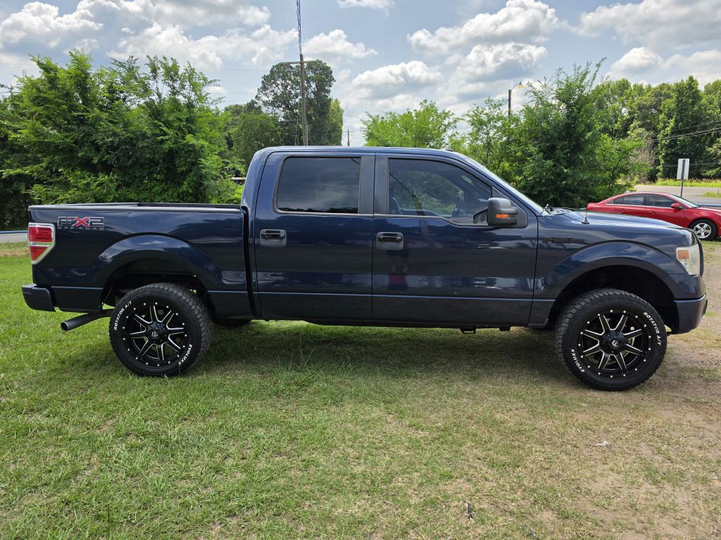 2014 Ford F-150 Image 3