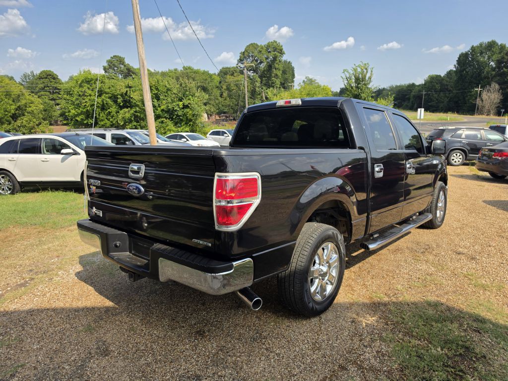 2014 Ford F-150 Image 3