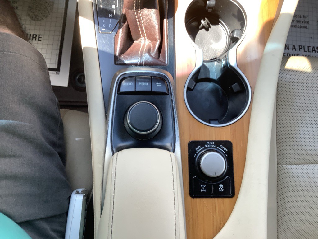 2017 Lexus RX Image 20