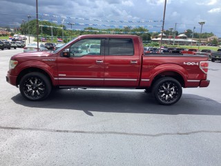 Image for 2013 Ford F-150 Platinum ID: 7517686