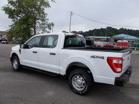Image for 2021 Ford F-150 Supercrew ID: 6652216