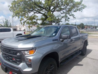 Image for 2024 Chevrolet Silverado 1500 Trail Boss Custom ID: 7490764