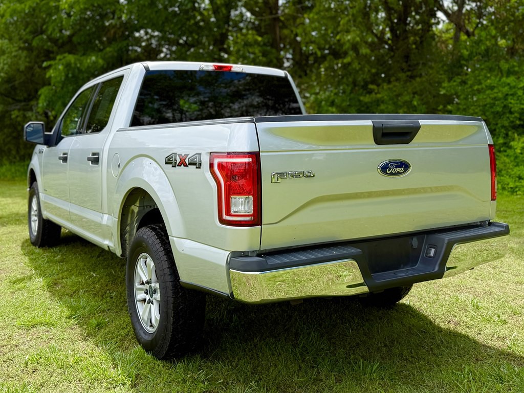 2017 Ford F-150 Image 4