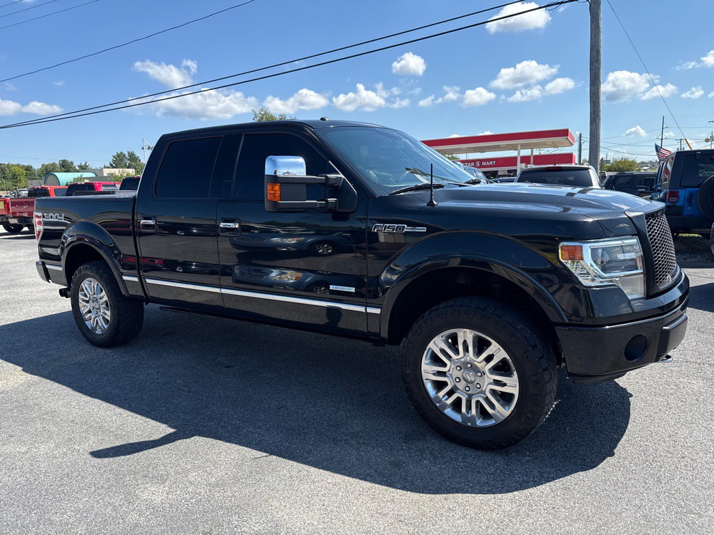 2013 Ford F-150 Image 3