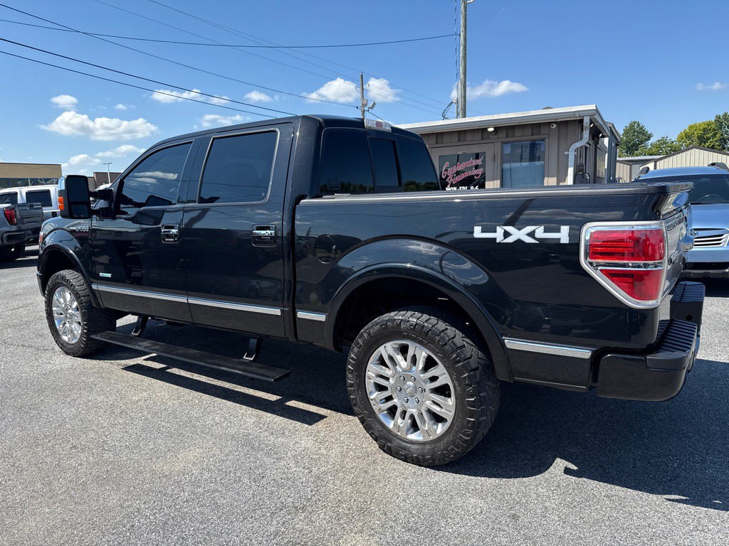 2013 Ford F-150 Image 6