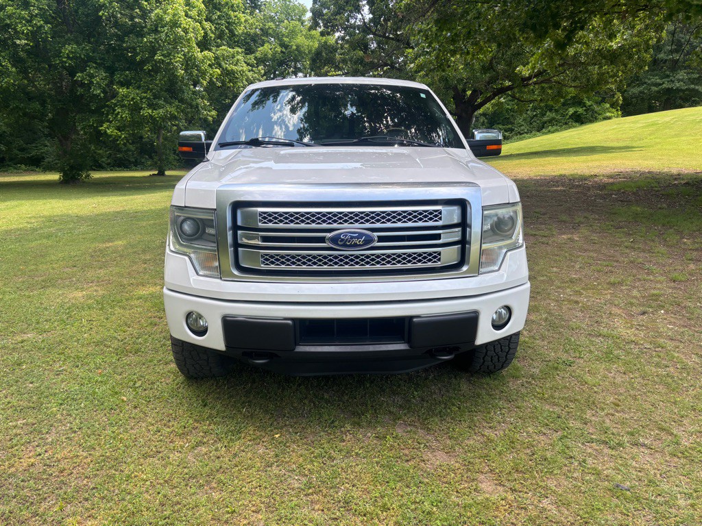 2014 Ford F-150 Image 2