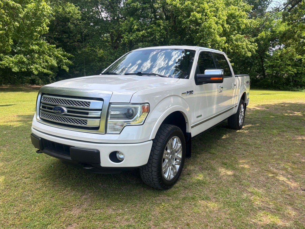 2014 Ford F-150 Image 3