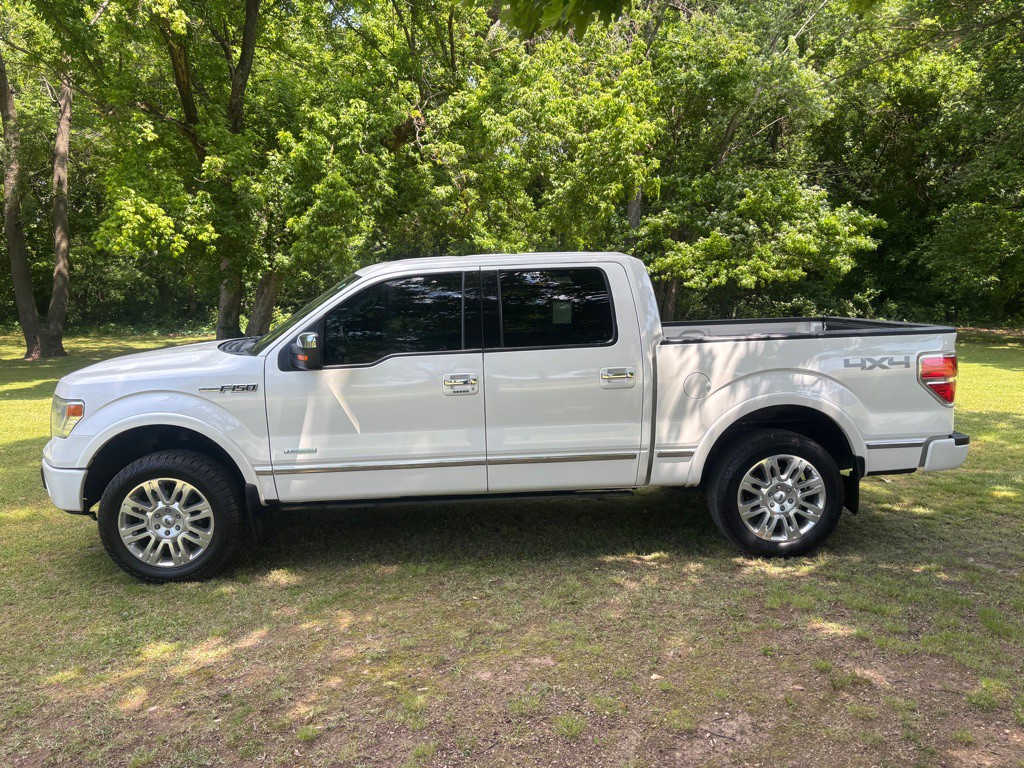 2014 Ford F-150 Image 4