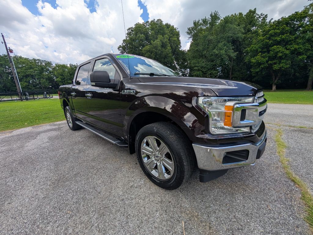 2020 Ford F-150 Image 1