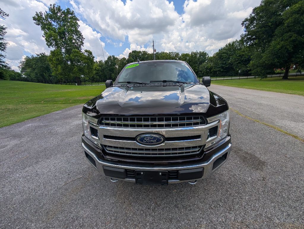 2020 Ford F-150 Image 2