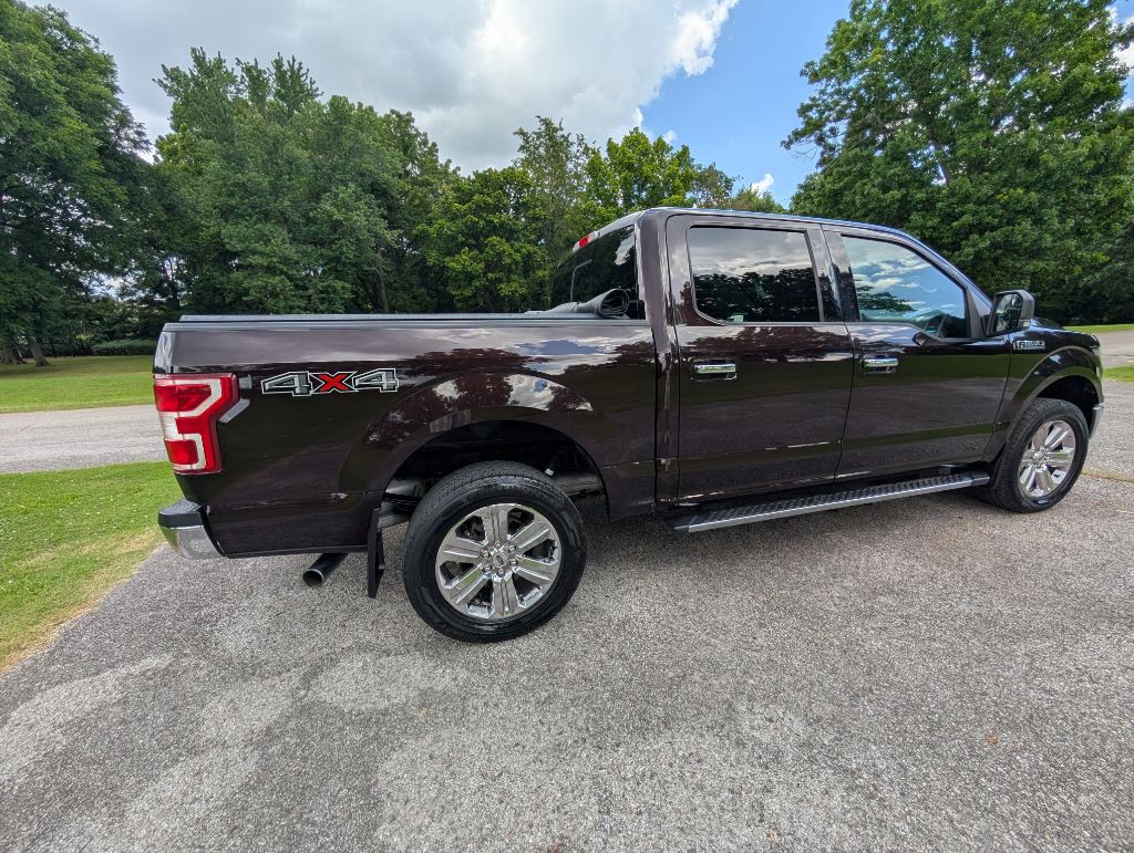 2020 Ford F-150 Image 3