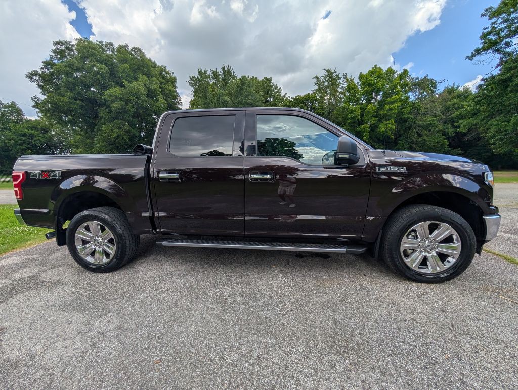 2020 Ford F-150 Image 4