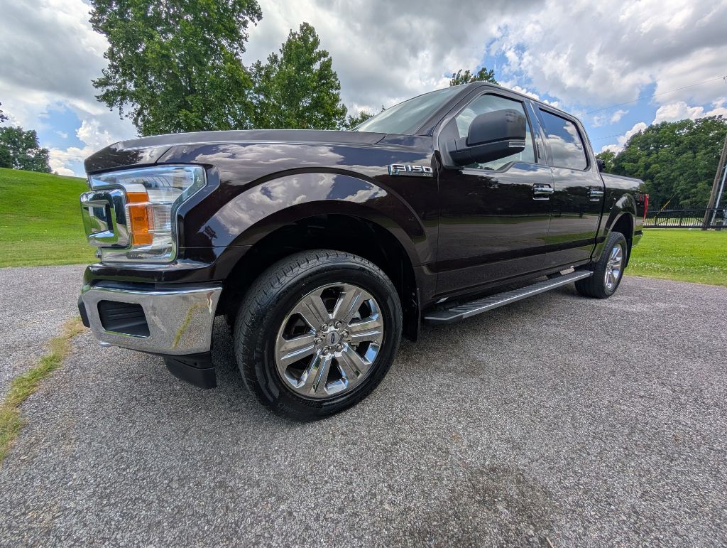 2020 Ford F-150 Image 5