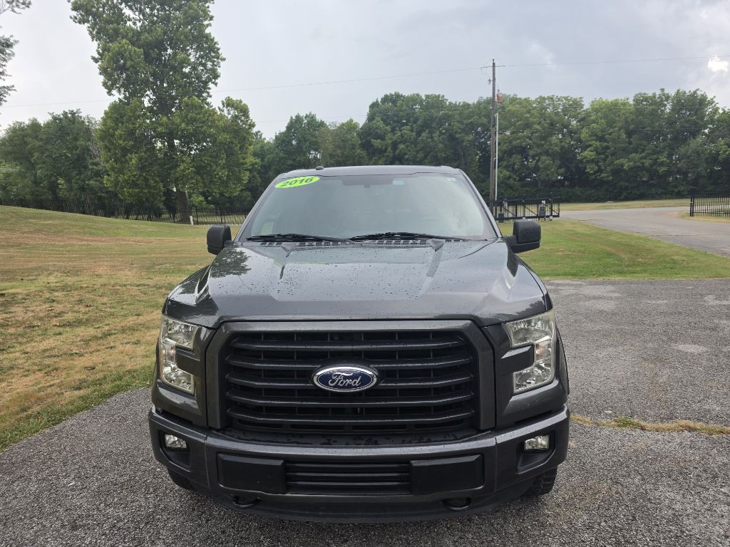 2016 Ford F-150 Image 4