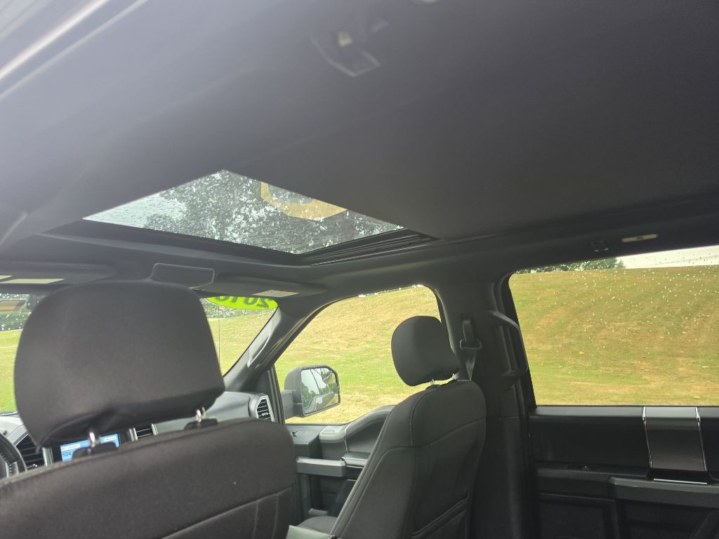 2016 Ford F-150 Image 14