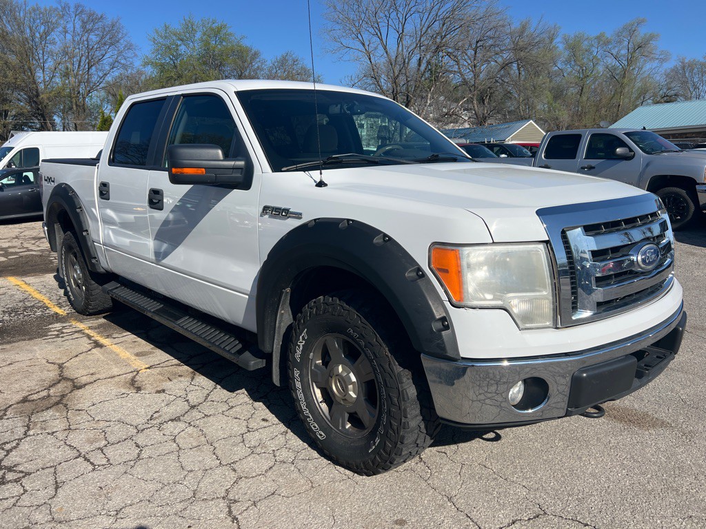 2010 Ford F-150 Image 3