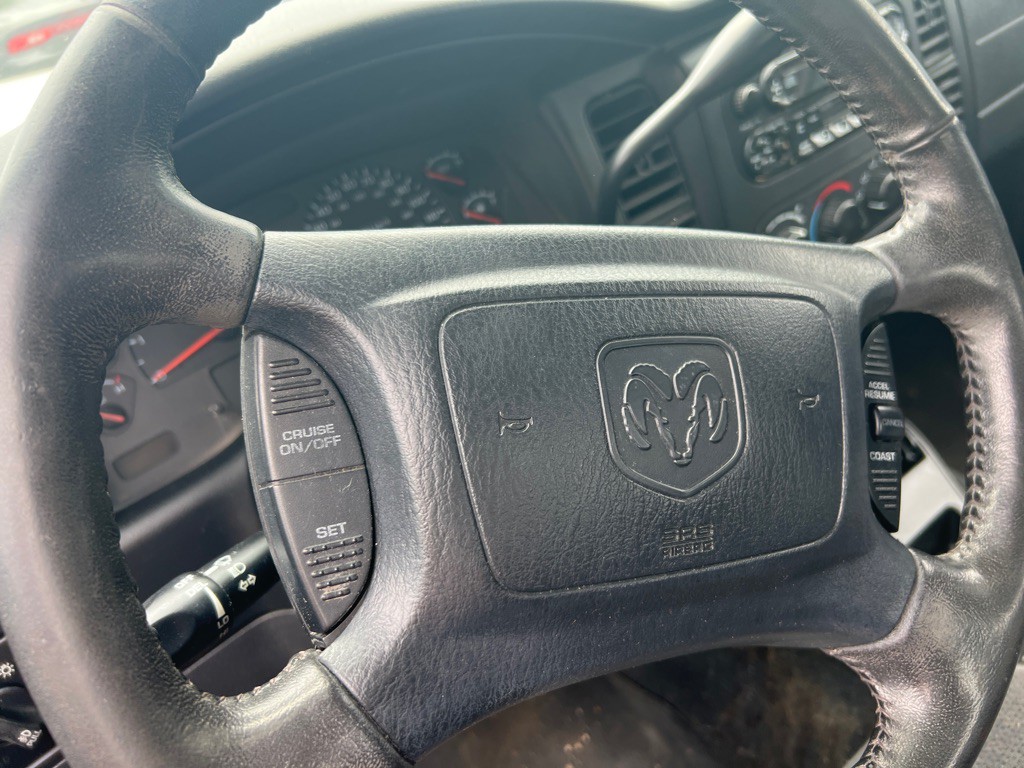 2003 Dodge Dakota Image 13