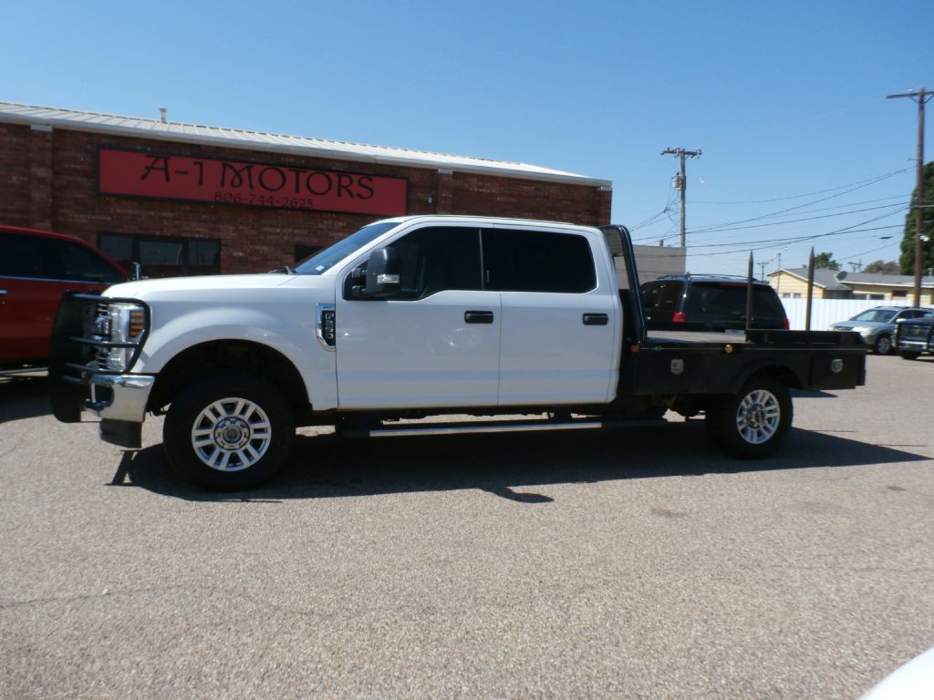 2019 Ford F-250 Image 3