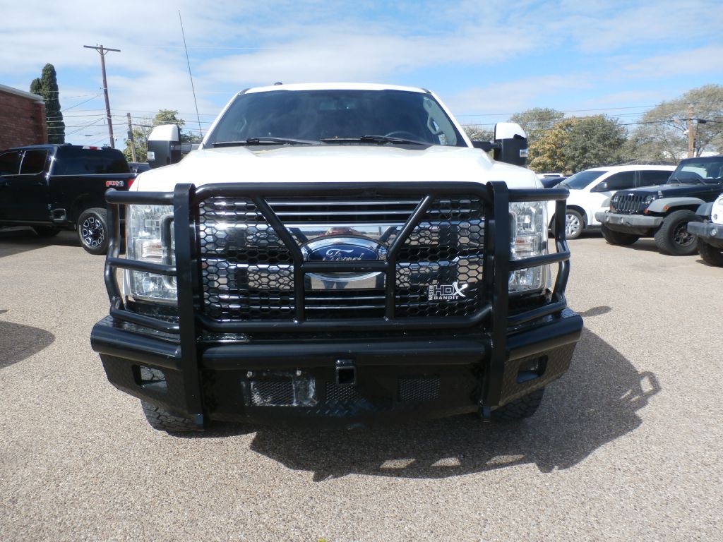 2017 Ford F-250 Image 2