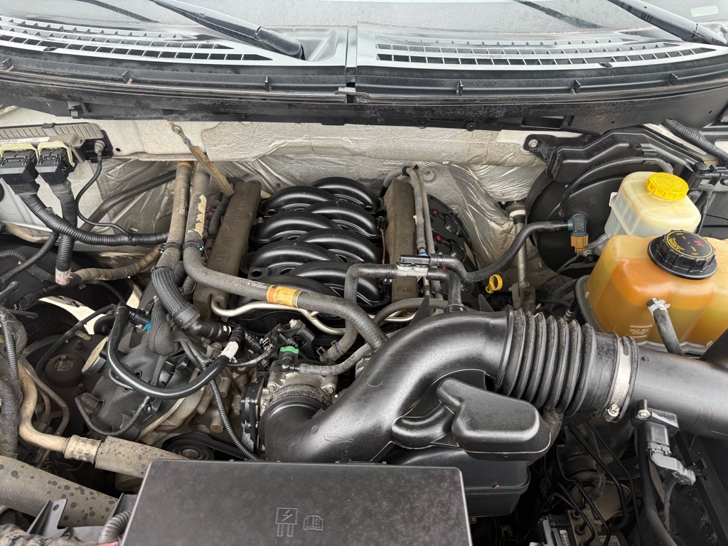 2014 Ford F-150 Image 8