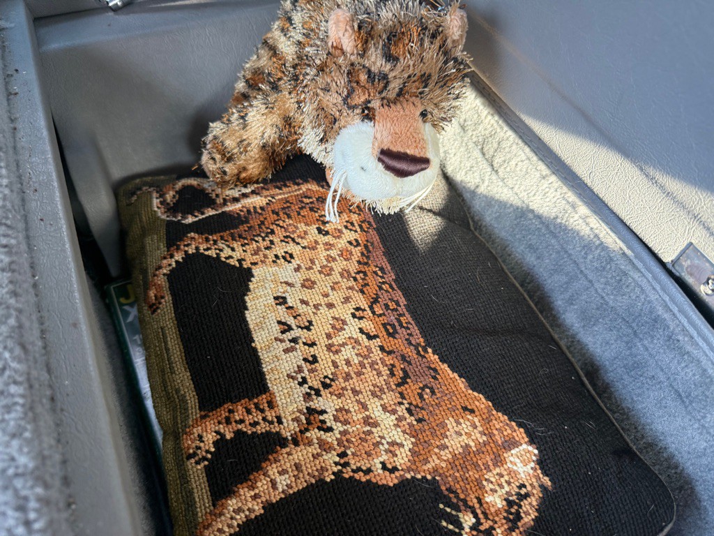 1990 Jaguar XJ Image 12