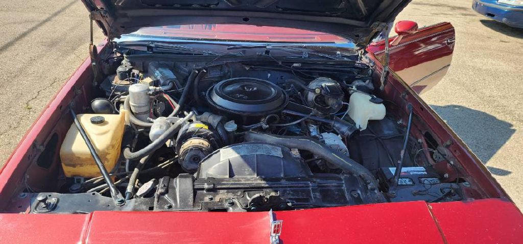 1978 Oldsmobile Cutlass Image 20