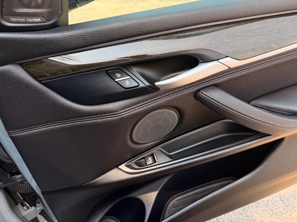 2017 BMW X5 Image 19