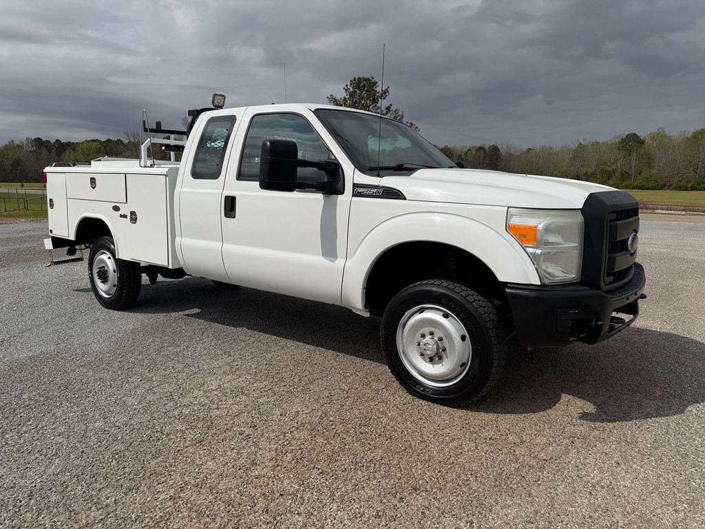 2015 Ford F-250 Image 2