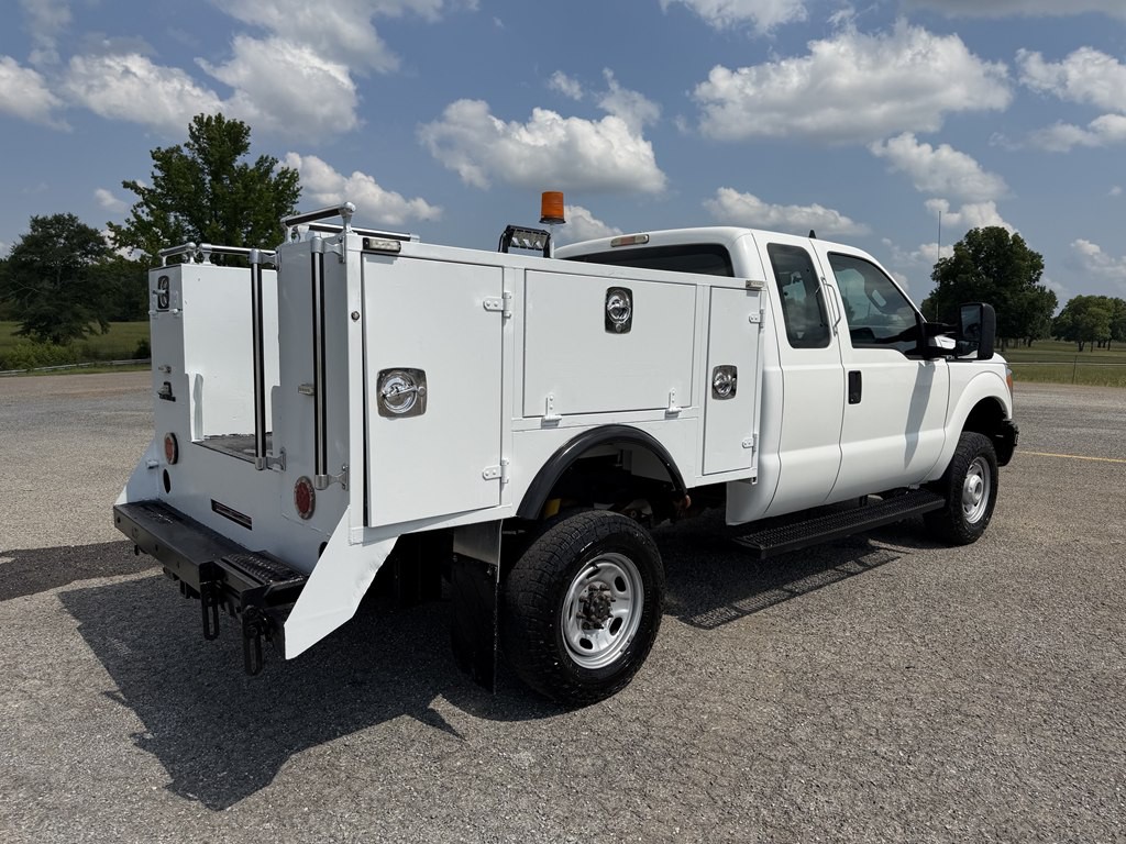 2014 Ford F-250 Image 3