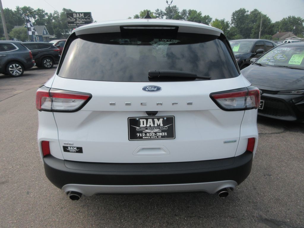 2020 Ford Escape Image 4