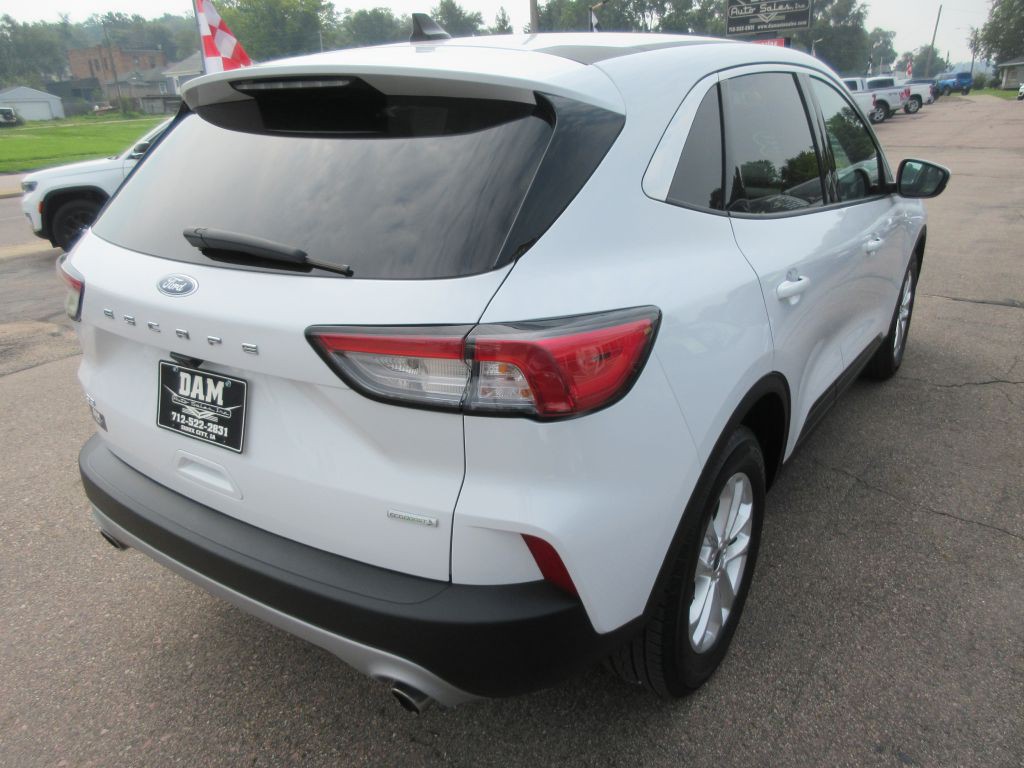 2020 Ford Escape Image 5