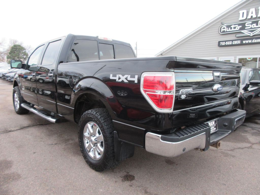2013 Ford F-150 Image 3