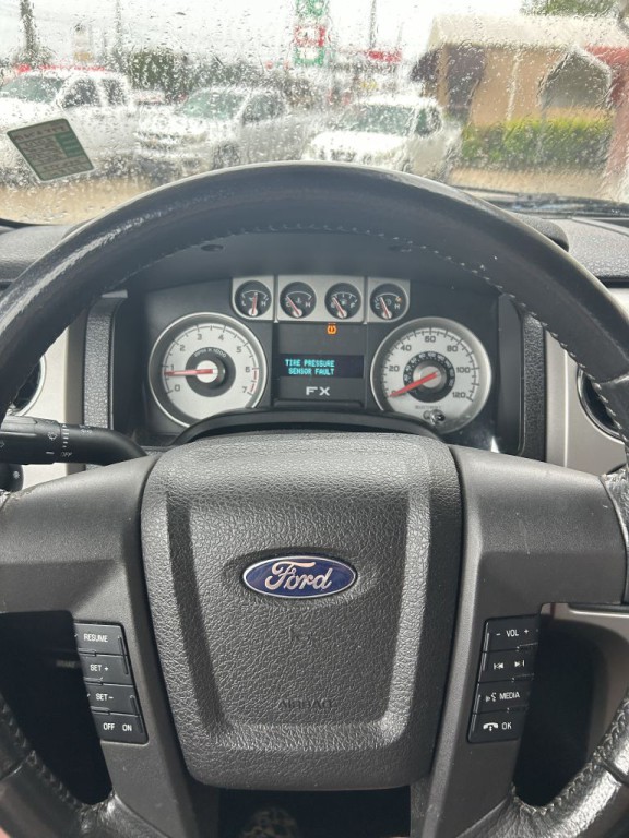 2010 Ford F-150 Image 12