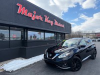 Image for 2017 Nissan Murano Platinum ID: 7176893