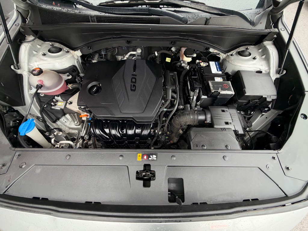2021 Hyundai Santa Fe Image 29