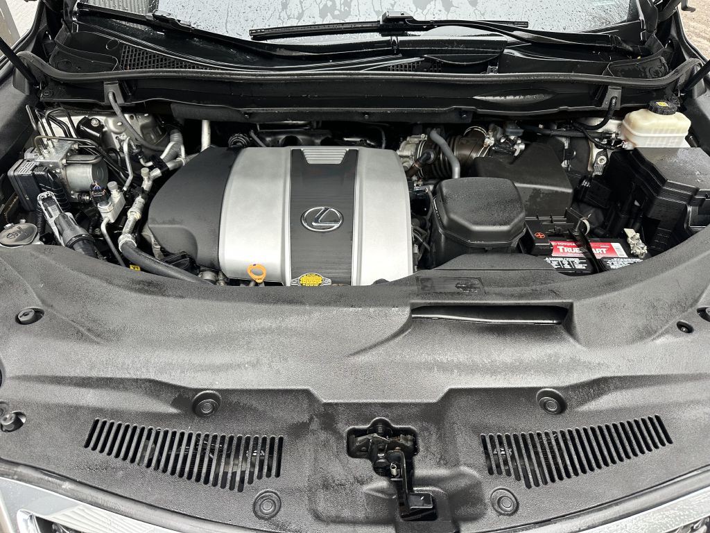 2017 Lexus RX 350 Image 13