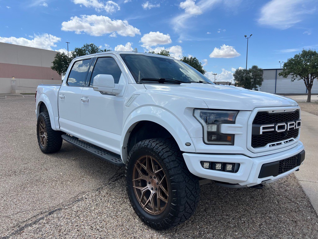 2019 Ford F-150 Image 1