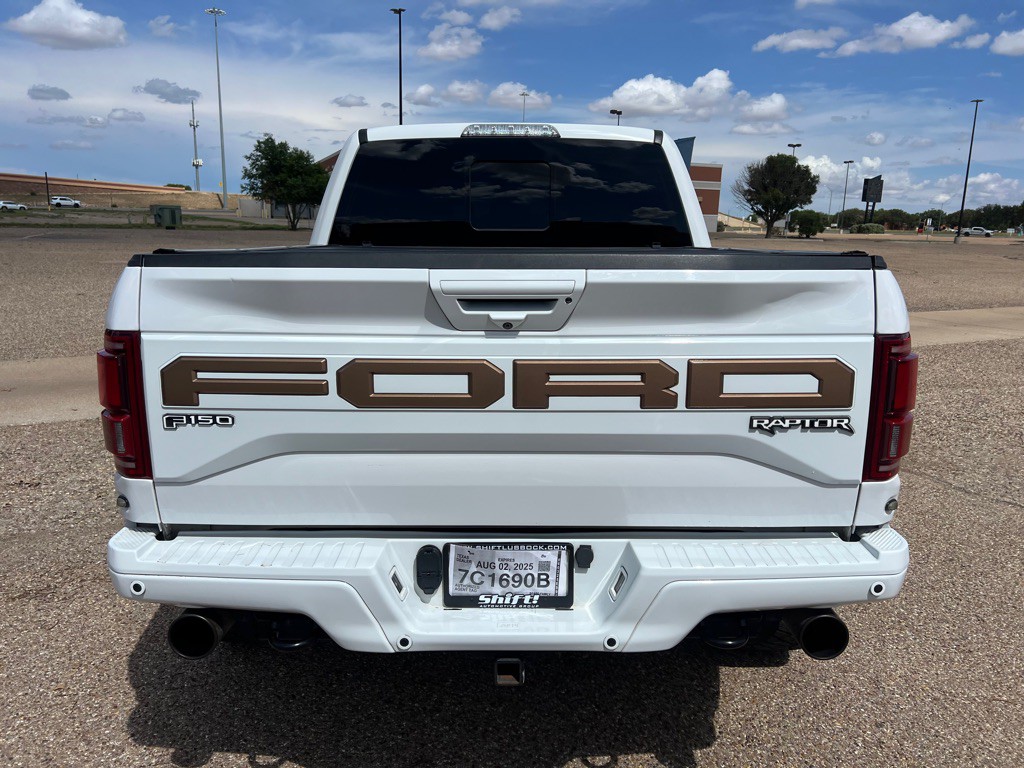 2019 Ford F-150 Image 6