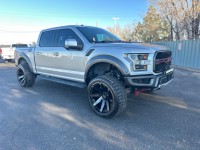 Image for 2018 Ford F-150 Raptor ID: 6998168