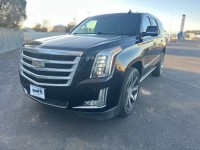 Image for 2016 Cadillac Escalade Premium ID: 6998226
