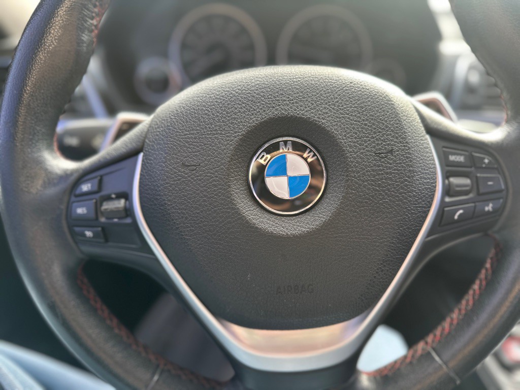 2016 BMW 3 Series Image 19