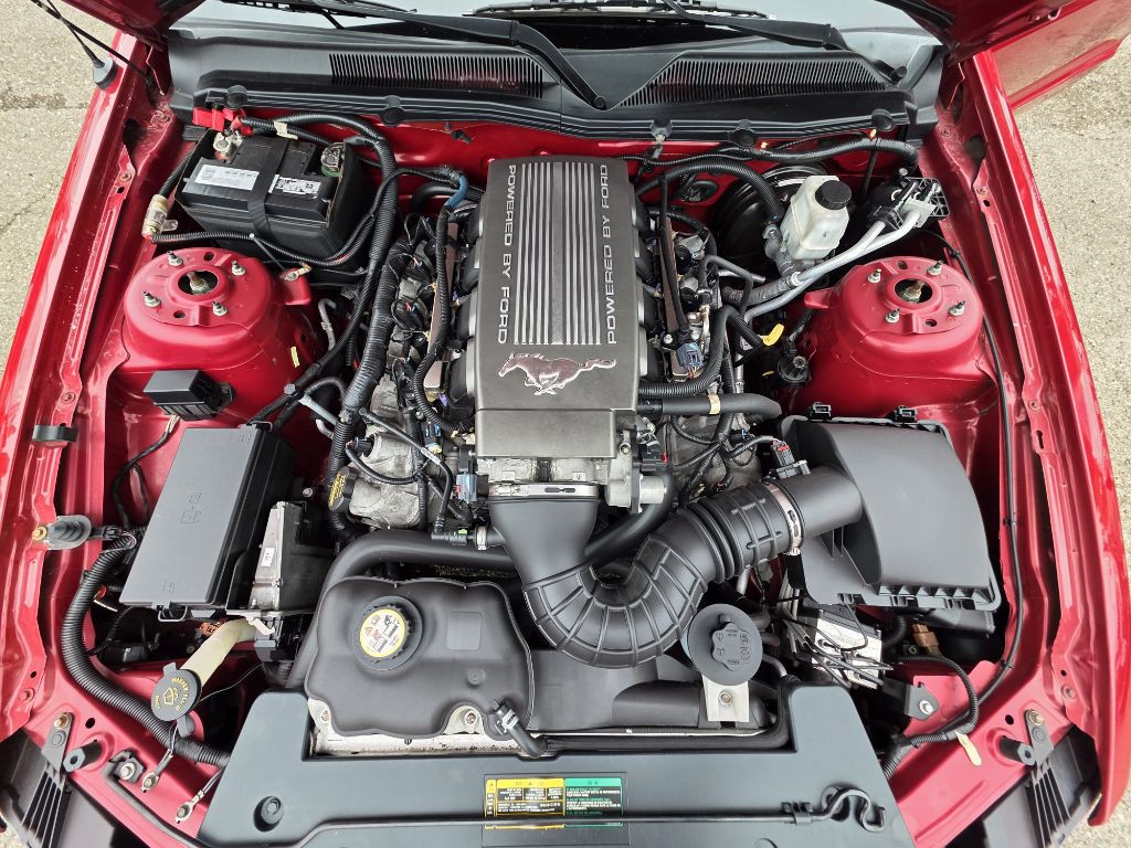 2009 Ford Mustang Image 15