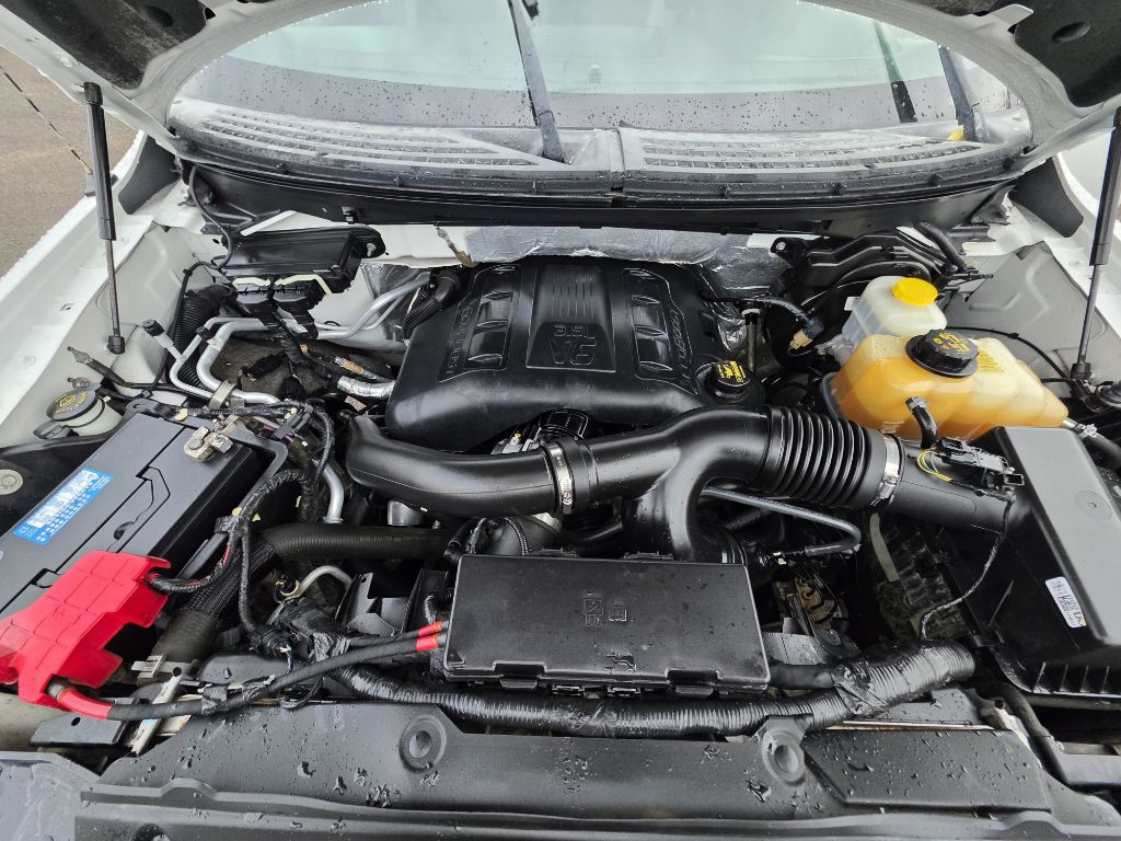 2014 Ford F-150 Image 20