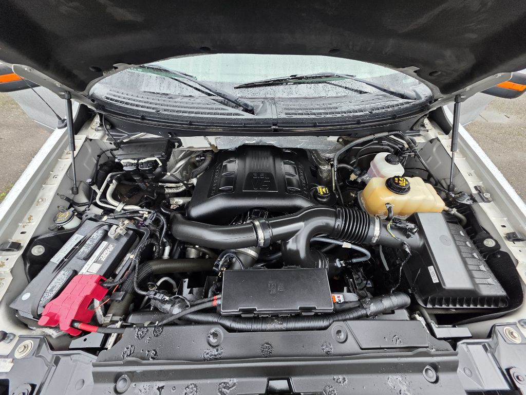 2012 Ford F-150 Image 19