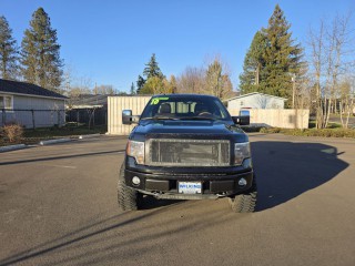Image for 2010 Ford F-150 Platinum ID: 7131358