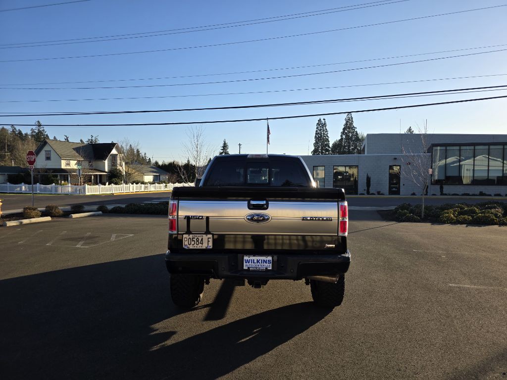 2010 Ford F-150 Image 6
