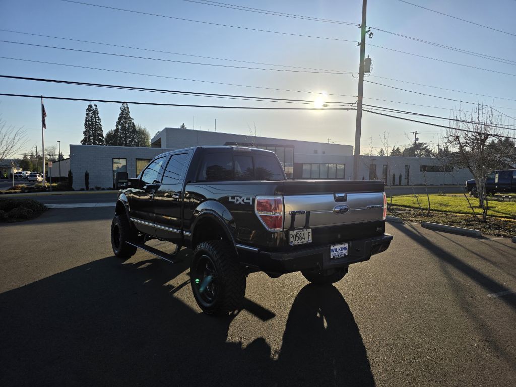 2010 Ford F-150 Image 7