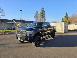 Image for 2010 Ford F-150 Platinum ID: 7131358