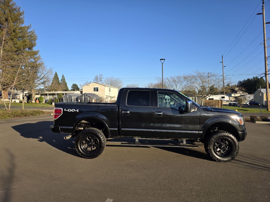 2010 Ford F-150 Image 4